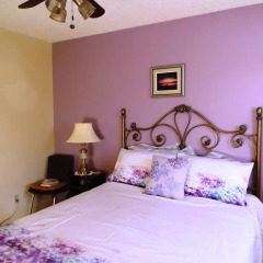 Отель Wild Rose Bed & Breakfast 2* Стандартный номер с различными типами кроватей