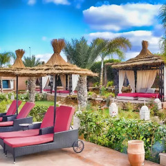 Отель Club Paradisio Марокко, Марракеш - отзывы, цены и фото номеров - забронировать отель Club Paradisio онлайн фото 6