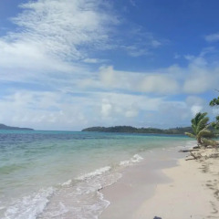 Отель Coconut Beach Resort пляж фото 2