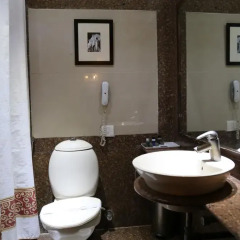 The Corus Hotel 3* Номер Делюкс с различными типами кроватей фото 4