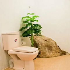 Отель Blanca Cottage 3* Вилла фото 22
