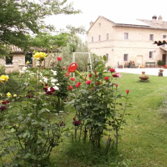Отель B&B Il Casone Монтелупоне