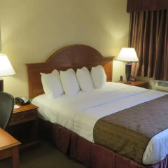Отель Best Western Hollywood Plaza Inn 2* Стандартный номер с различными типами кроватей фото 3