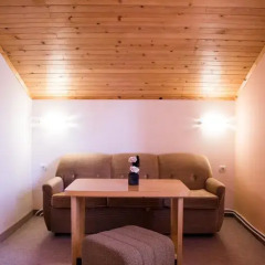 Отель Guest House Saint Dimitar Болгария, Боровец - отзывы, цены и фото номеров - забронировать отель Guest House Saint Dimitar онлайн комната для гостей фото 4