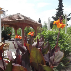 Hamsilos Apart Hotel Апартаменты с различными типами кроватей фото 15