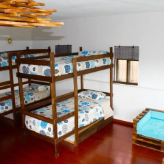 Douro Surf Hostel развлечения