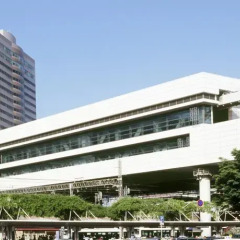 Hotel Sunroute Chiba Тиба балкон