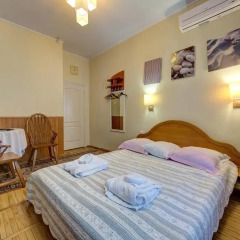 Гостиница Александрия 3* Стандартный номер с разными типами кроватей фото 33