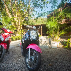 Отель Arowana resort Ланта детские мероприятия