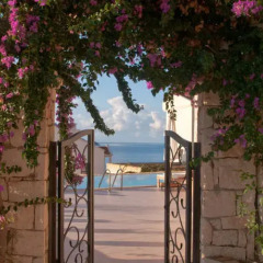 Lycia Hotel Турция, Патара - отзывы, цены и фото номеров - забронировать отель Lycia Hotel онлайн фото 8