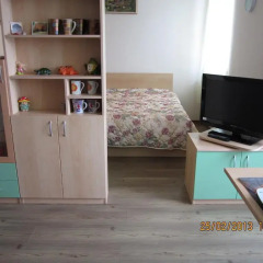 Апартаменты Apartment in Pine Hills Pamporovo Пампорово комната для гостей фото 2