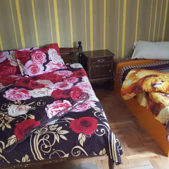 Hostel Alex Стандартный номер с двуспальной кроватью (общая ванная комната) фото 4