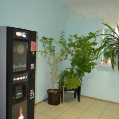 Cosy Hostel In Solntsevo Кровать в общем номере с двухъярусной кроватью фото 7