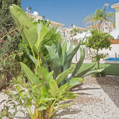 Отель Villa Nancy Кипр, Протарас - отзывы, цены и фото номеров - забронировать отель Villa Nancy онлайн