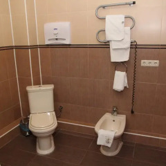 VIP Отель Клеопатра ванная фото 6