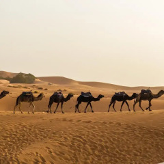 Отель Caravanserai Luxury Desert Camp Марокко, Мерзуга - отзывы, цены и фото номеров - забронировать отель Caravanserai Luxury Desert Camp онлайн фитнесс-зал