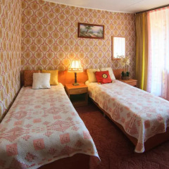 Отель ФГУП пансионат с лечением Звенигородский 3* Стандартный номер