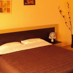 Hostel Brestnik Брестник комната для гостей фото 2