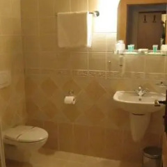 Hotel Zlaty Lev 4* Стандартный номер фото 4