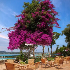 Отель Divani Corfu Palace Корфу фото 2