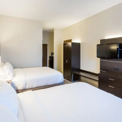 Holiday Inn Express Hotel & Suites Reading 3* Стандартный номер с различными типами кроватей фото 3