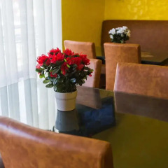 Гостиница Zolotaya Rybka Guest House удобства в номере