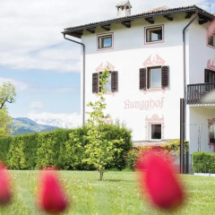 Hotel Ansitz Rungghof Аппиано-сулла-Страда-дель-Вино фото 10