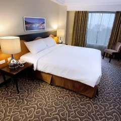 Hotel Elizabeth Cebu 3* Номер Делюкс с двуспальной кроватью фото 4