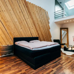 Отель Gallery Loft Cologne Полулюкс фото 6