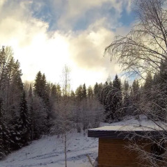 Гостиница Brusnika Village фото 4