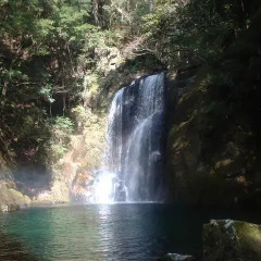 Отель Pals Inn Katsuura Кусимото приотельная территория