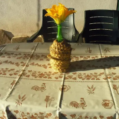 Отель In Collina Al Mare Di Sperlonga Итри развлечения