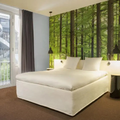 Conscious Hotel Museum Square 3* Стандартный номер с двуспальной кроватью фото 3