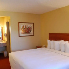 Отель Days Inn Las Vegas at Wild Wild West Gambling Hall 2* Стандартный номер с различными типами кроватей фото 13