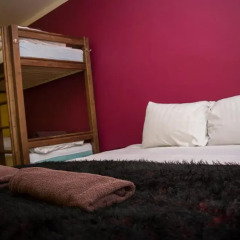 Naughty Squirrel Backpackers Hostel Стандартный номер с различными типами кроватей фото 2