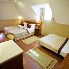Gold Hotel Budapest 4* Стандартный номер с различными типами кроватей