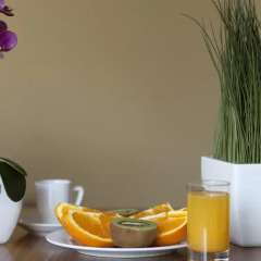 Отель Holiday Inn Express Lisbon Airport в номере фото 2