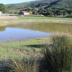 Отель Montejunto Villa фото 3