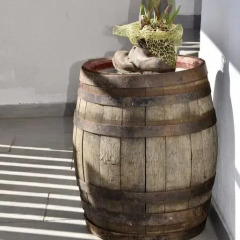 Отель Ferienhaus Bad Stube **** Сарентино фото 4