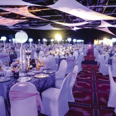 Отель Peermont D'oreale Grande at Emperors Palace