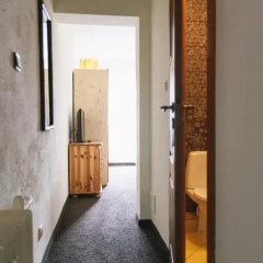 Отель Willa Albatros 2* Стандартный номер с различными типами кроватей фото 15