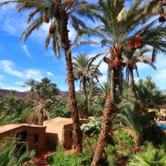 Отель Ecolodge Bab El Oued Maroc Oasis пляж