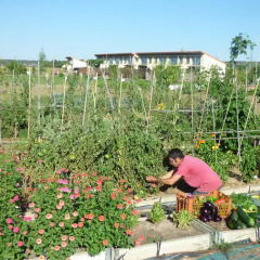 Отель Rural Bioclimático Sabinares del Arlanza Испания, Когольос - отзывы, цены и фото номеров - забронировать отель Rural Bioclimático Sabinares del Arlanza онлайн спортивное сооружение