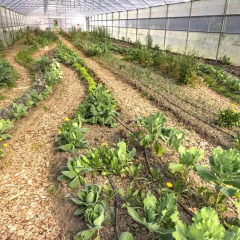 Отель Naturena Agro-Turismo парковка