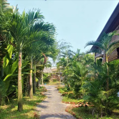Отель Dragon Sea Homestay Хойан фото 12