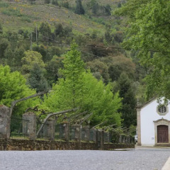 Отель Campus Natura