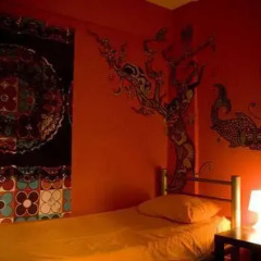 Stray Cat Hostel Кровать в общем номере двухъярусные кровати фото 5