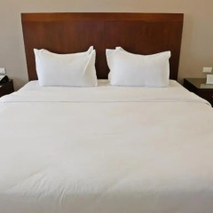 Mandarin Plaza Hotel 4* Номер Делюкс с различными типами кроватей фото 7