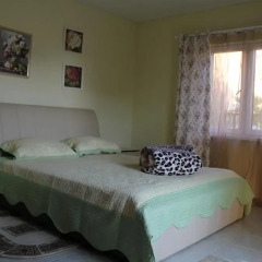 Olga Mini-Hotel комната для гостей фото 3