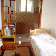 Отель Guest House Dangulevi Чепеларе в номере